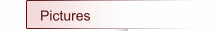 Pictures