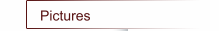 Pictures